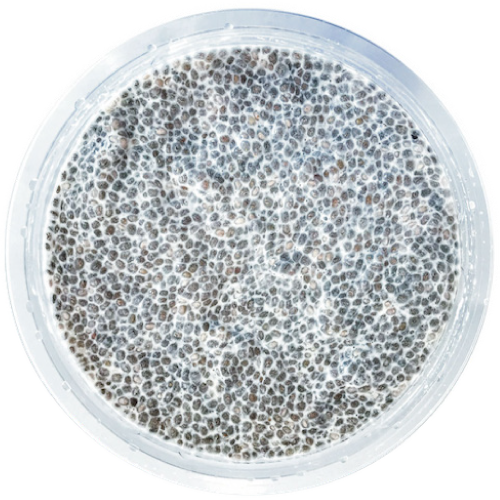 chia seeds background macro