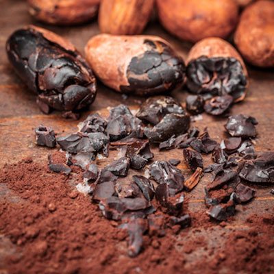 cacao-nibs